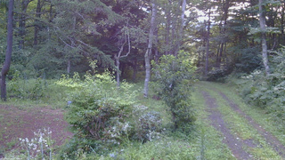 長野県菅平高原 ゆたか山荘 坂上 2026/08/13 18:15