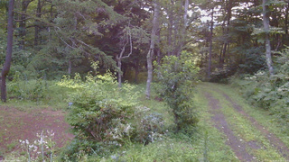 長野県菅平高原 ゆたか山荘 坂上 2026/08/13 18:30