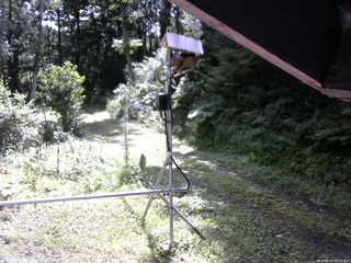 長野県菅平高原 ゆたか山荘 南側 2026/08/14 09:45