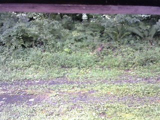 長野県菅平高原 ゆたか山荘 東側(坂下) 2026/08/14 07:00