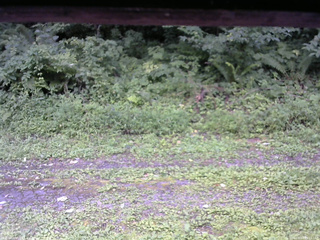 長野県菅平高原 ゆたか山荘 東側(坂下) 2026/08/14 10:15
