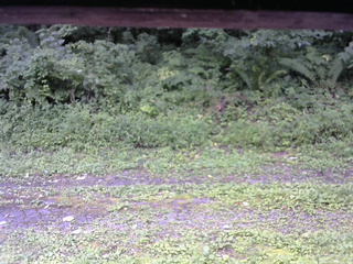 長野県菅平高原 ゆたか山荘 東側(坂下) 2026/08/14 11:15