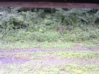 長野県菅平高原 ゆたか山荘 東側(坂下) 2026/08/14 12:00