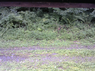 長野県菅平高原 ゆたか山荘 東側(坂下) 2026/08/14 12:45