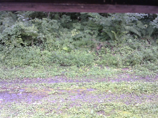 長野県菅平高原 ゆたか山荘 東側(坂下) 2026/08/14 13:15