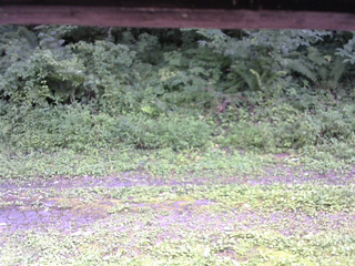 長野県菅平高原 ゆたか山荘 東側(坂下) 2026/08/14 14:00