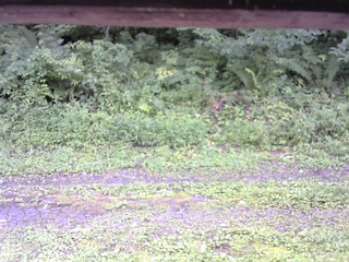 長野県菅平高原 ゆたか山荘 東側(坂下) 2026/08/14 14:45