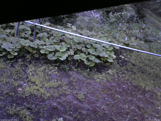 長野県菅平高原 ゆたか山荘 駐車場 2026/08/14 05:00