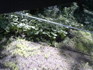 長野県菅平高原 ゆたか山荘 駐車場 2026/08/14 08:00