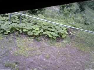 長野県菅平高原 ゆたか山荘 駐車場 2026/08/14 10:15