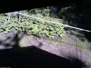 長野県菅平高原 ゆたか山荘 駐車場 2026/08/14 15:00