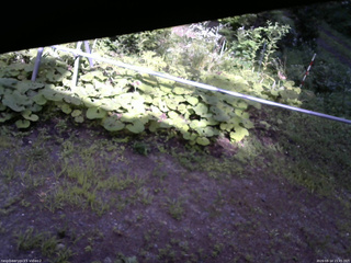 長野県菅平高原 ゆたか山荘 駐車場 2026/08/14 15:45