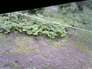 長野県菅平高原 ゆたか山荘 駐車場 2026/08/14 17:00