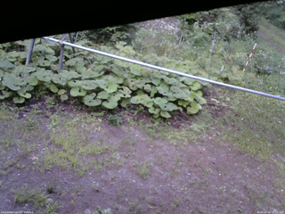 長野県菅平高原 ゆたか山荘 駐車場 2026/08/14 18:15