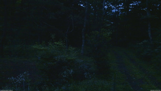 長野県菅平高原 ゆたか山荘 坂上 2026/08/14 05:00