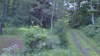 長野県菅平高原 ゆたか山荘 坂上 2026/08/14 05:15