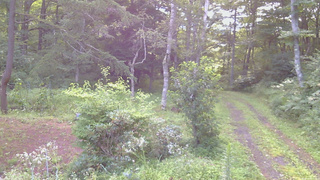 長野県菅平高原 ゆたか山荘 坂上 2026/08/14 05:30