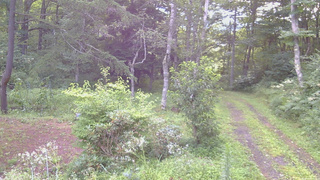 長野県菅平高原 ゆたか山荘 坂上 2026/08/14 05:45