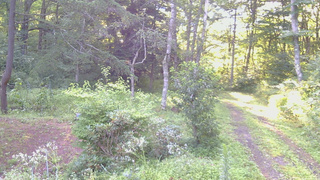 長野県菅平高原 ゆたか山荘 坂上 2026/08/14 06:00