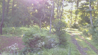 長野県菅平高原 ゆたか山荘 坂上 2026/08/14 06:15