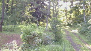 長野県菅平高原 ゆたか山荘 坂上 2026/08/14 06:30