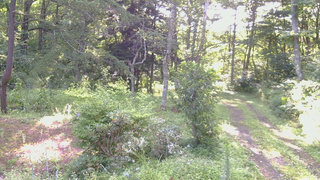 長野県菅平高原 ゆたか山荘 坂上 2026/08/14 06:45