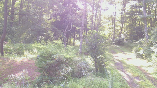 長野県菅平高原 ゆたか山荘 坂上 2026/08/14 07:00