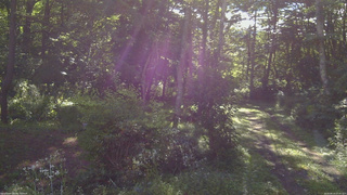 長野県菅平高原 ゆたか山荘 坂上 2026/08/14 07:45