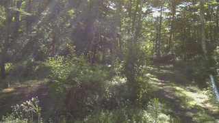 長野県菅平高原 ゆたか山荘 坂上 2026/08/14 08:15