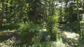 長野県菅平高原 ゆたか山荘 坂上 2026/08/14 08:30