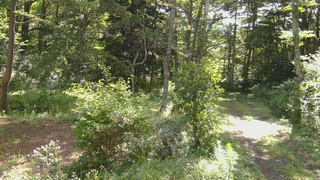 長野県菅平高原 ゆたか山荘 坂上 2026/08/14 08:45