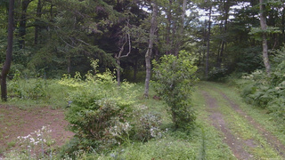 長野県菅平高原 ゆたか山荘 坂上 2026/08/14 09:15