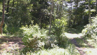 長野県菅平高原 ゆたか山荘 坂上 2026/08/14 09:30