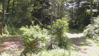長野県菅平高原 ゆたか山荘 坂上 2026/08/14 09:45