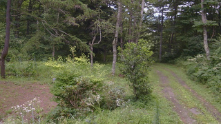 長野県菅平高原 ゆたか山荘 坂上 2026/08/14 10:15