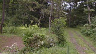 長野県菅平高原 ゆたか山荘 坂上 2026/08/14 10:30