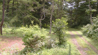 長野県菅平高原 ゆたか山荘 坂上 2026/08/14 10:45