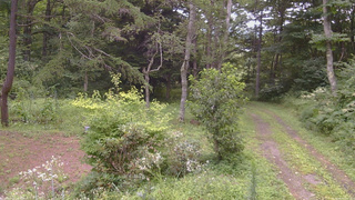 長野県菅平高原 ゆたか山荘 坂上 2026/08/14 11:00