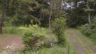 長野県菅平高原 ゆたか山荘 坂上 2026/08/14 11:15