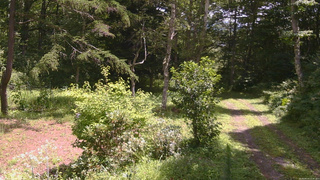 長野県菅平高原 ゆたか山荘 坂上 2026/08/14 11:30