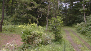 長野県菅平高原 ゆたか山荘 坂上 2026/08/14 11:45