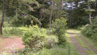 長野県菅平高原 ゆたか山荘 坂上 2026/08/14 12:00