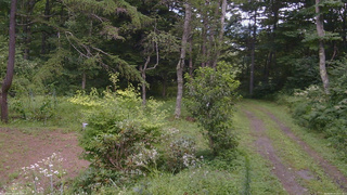 長野県菅平高原 ゆたか山荘 坂上 2026/08/14 12:15