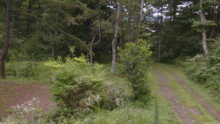 長野県菅平高原 ゆたか山荘 坂上 2026/08/14 12:30