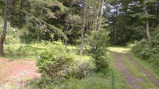 長野県菅平高原 ゆたか山荘 坂上 2026/08/14 12:45
