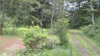 長野県菅平高原 ゆたか山荘 坂上 2026/08/14 13:00