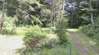 長野県菅平高原 ゆたか山荘 坂上 2026/08/14 13:15
