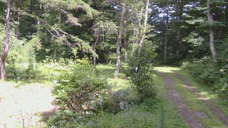長野県菅平高原 ゆたか山荘 坂上 2026/08/14 13:30