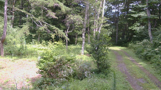長野県菅平高原 ゆたか山荘 坂上 2026/08/14 13:45