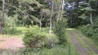 長野県菅平高原 ゆたか山荘 坂上 2026/08/14 14:00